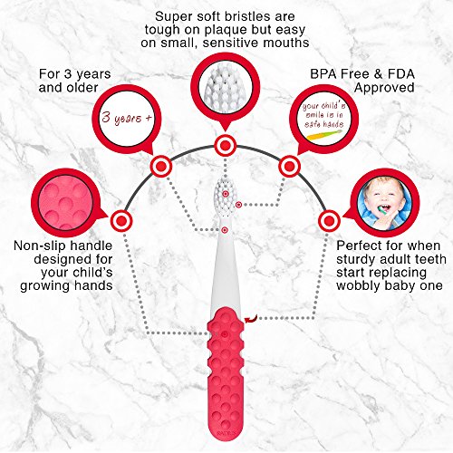 5 RADIUS+Toothbrush+Bristles+Designed+Smaller