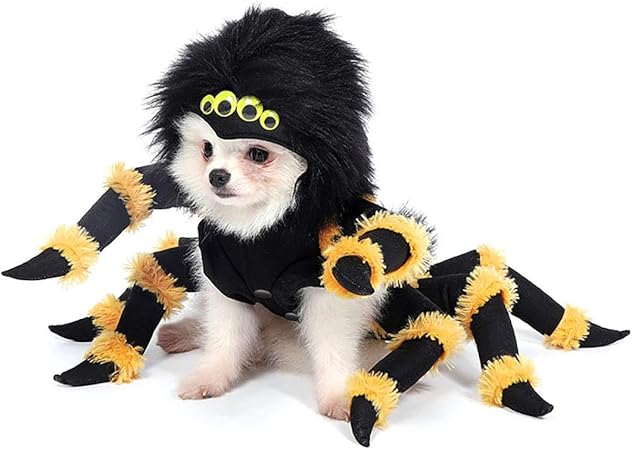 spider outfit for small dogs