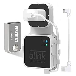 256GB Blink USB Flash Drive and Sync Module 2
