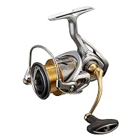 Moulinet Toupie Daiwa Theory 3012H – Occasion, En Bon état De Fonctionnement, Idéal Pour La Pêche Au Feeder Ou Au Coup