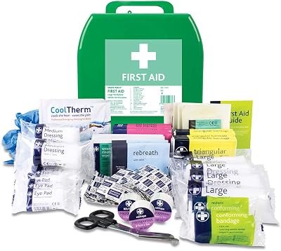 Lewis-Plast BS8599-1 Large Premium First Aid Kit Green