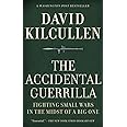 The Accidental Guerrilla: Fighting Small Wars in the Midst of a Big One