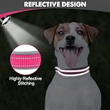 Joytale Reflective Dog Collar Medium Neoprene Padded Heavy Buckle Hotpink view 4