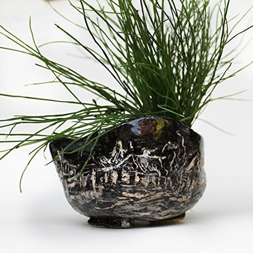 Ceramic Planter black and white, Pottery small Vase, succulent plant pot, bowl black and white
