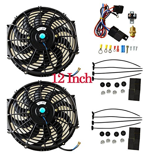 image for BLACKHORSE-RACING 12