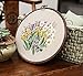 Embroidery Kits with Colorful Flower and Plant Designs; Embroidery Starter Sets with Patterns – Perfect Embroidery Beginner Kit with Hoop, Threads, Tools and Stamped Cloth