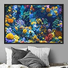 signwin Framed Canvas Wall Art Colorful Corals Group Jellyfish Marine Life Multicolor Photography Realism Tropical Ultra Whimsical - 24x36 inches