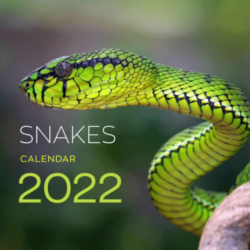 Snakes Calendar 2022: Original Snake Calendar 🐍: Snakes Calendar Editions: 9798778802391: Amazon.com: Books