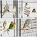Yaheetech 69”H Extra Large Bird Cage for Mid-Sized Parrots Cockatiels Conures Parakeets Lovebirds Budgie Finch Small Animal Cage for Rats Chinchillas Ferretsthumb 3