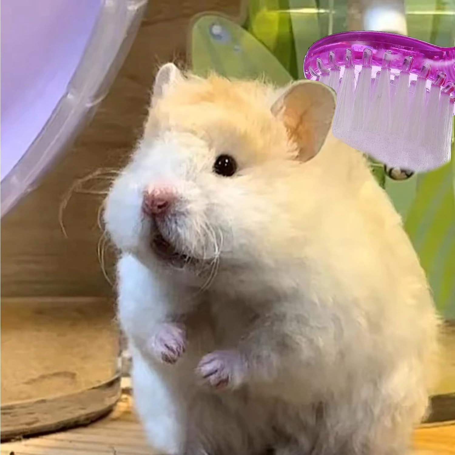 View 4