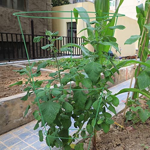 GROWNEER 12 Packs 33 Inches Plant Support Cage Tomato Cages with 328