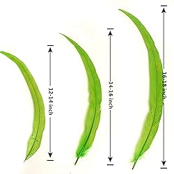 THARAHT 20PCS Rooster Coque Tail Feathers Bulk