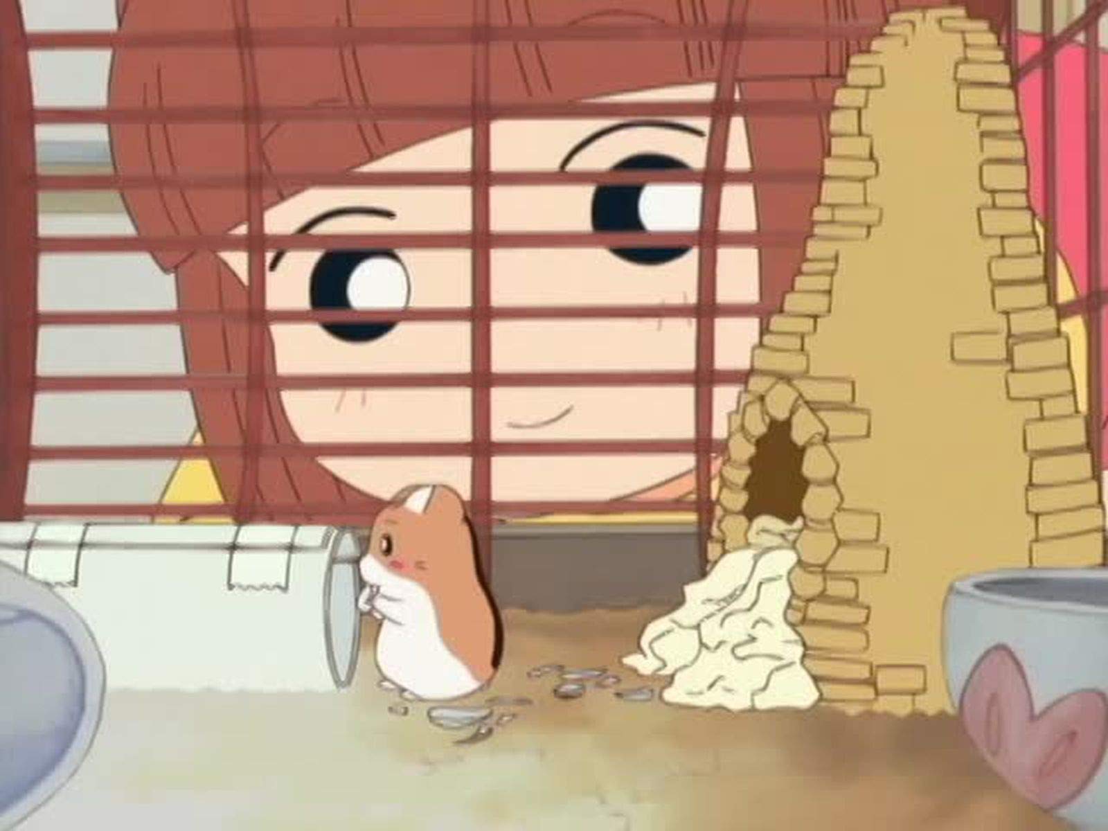 Amazon Co Jp ハムスター倶楽部 Dアニメストア を観る Prime Video