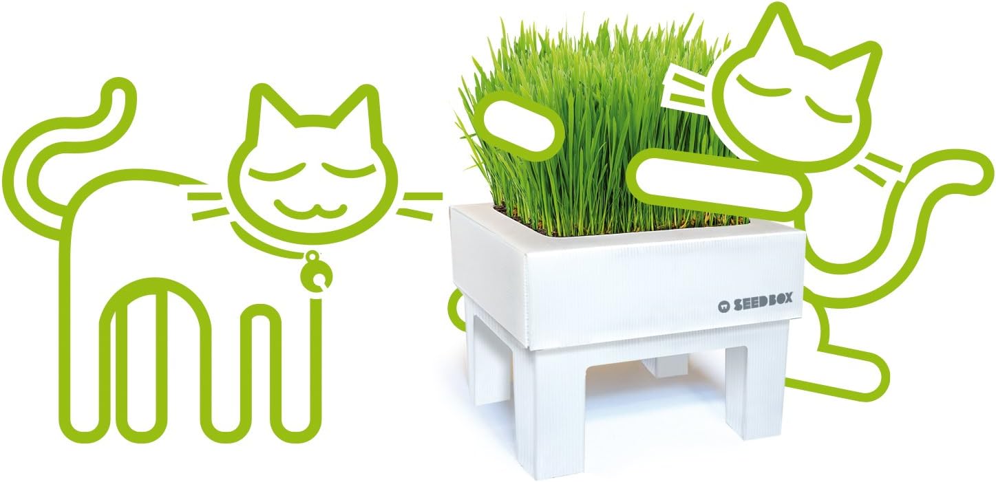 SeedBox SBMIHG Kit huerto Urbano de Hierba, Blanco, 20x25x25 cm ...