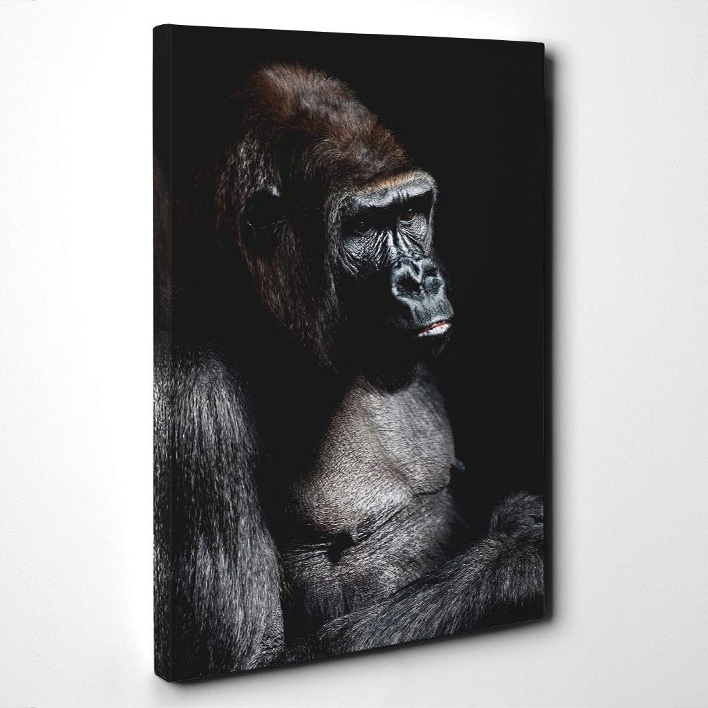Silverback Gorilla Canvas Print | Gallery Wrapped 30mm Frame Wall Art | 20x14 inches | Ready to Hang | Modern Animals Picture | Living Room Bedroom Lounge Office