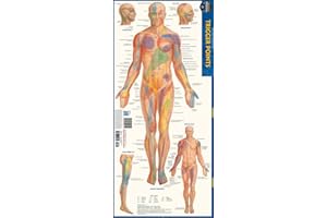 Trigger Points: a QuickStudy Laminated Anatomy Reference Guide
