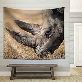 Rhino with Giant Horn on The Grassland - Fabric Wall Tapestry Home Decor - 51x60 inches