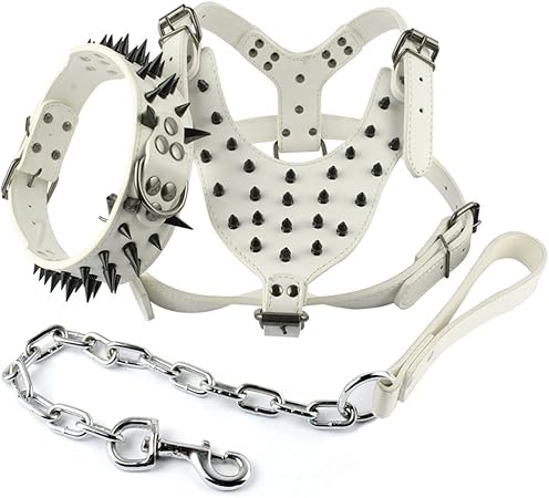 white dog harness
