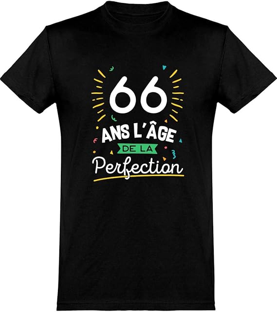 Scarica Gratis Images 66 Ans La Perfection Tee Shirt Homme Humour Anniversaire Cadeau dernière salutations