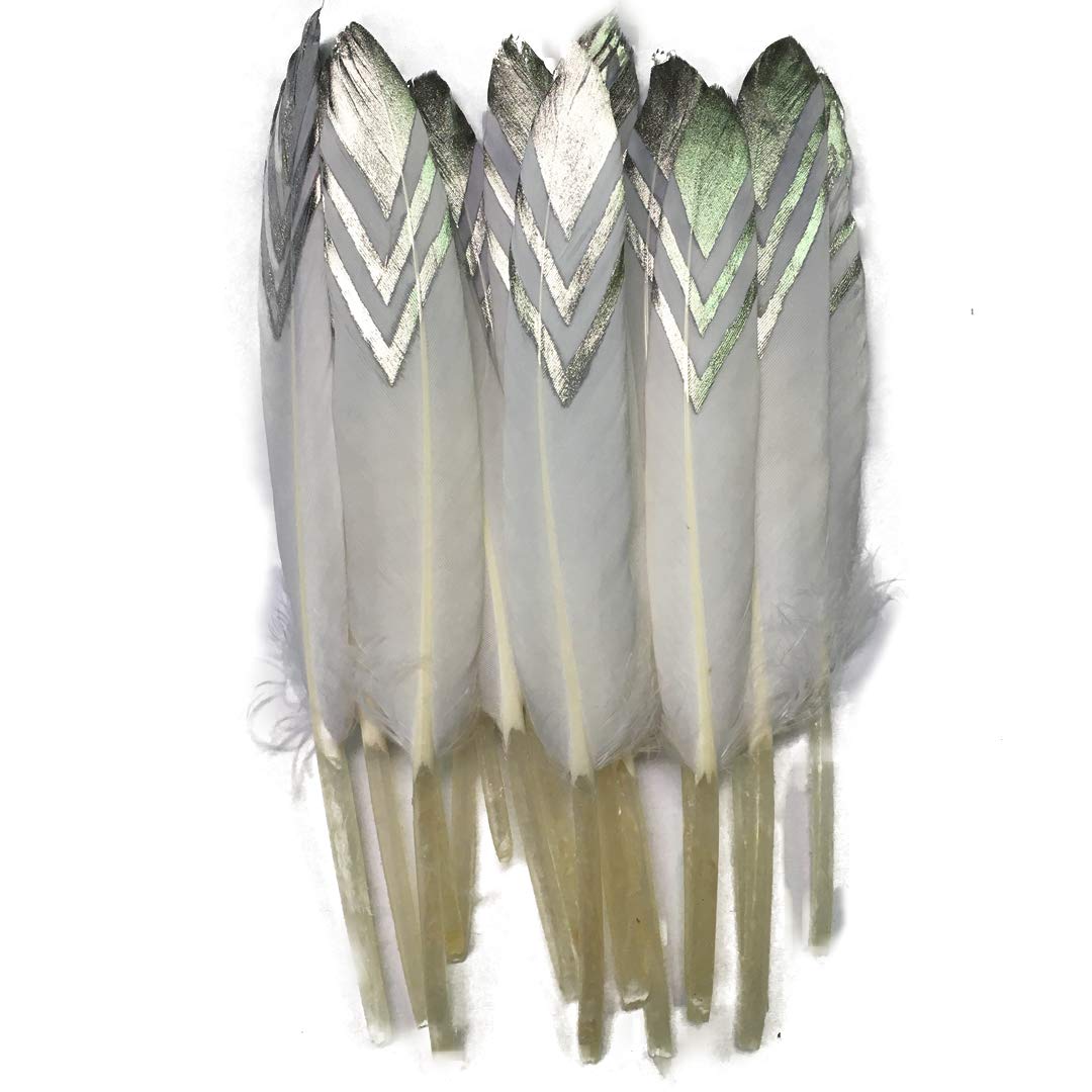 Sowder 50pcs Colorful Gold Goose Feathers 4-6inch(10-15cm) for Art Craft Party Decoration Clothing Accessories Duck Feather(White&Silver)