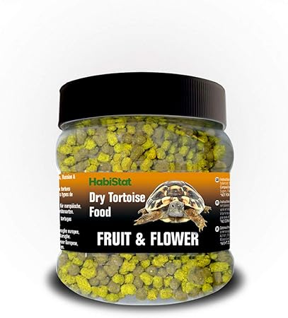 dry tortoise food