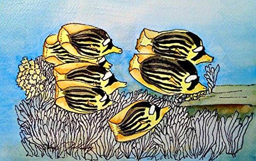 Fish Art Print From Watercolor Original, Headed to the Sandbar 2, 5x7