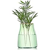 VanEnjoy 7 inch Green Clear Simple Green Glass Flower Vase, Decorative Gilded Rim Vase Home Decor for Indoor Centerpiece