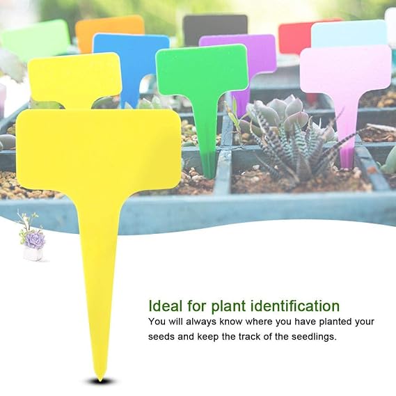 Etiquetas de plástico para plantas 50 PCS Impermeables PVC T-tipo ...