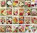 Vintage PostCards 24 pcs Flowers Vintage Gardens and Roses