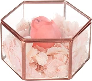 Feyarl Antikschmuck Schmuckkästchen Glasbox handgemacht Messing verzierte Ringe Ohrringe Box Konserviert Blume Glas Box Dekorative Box