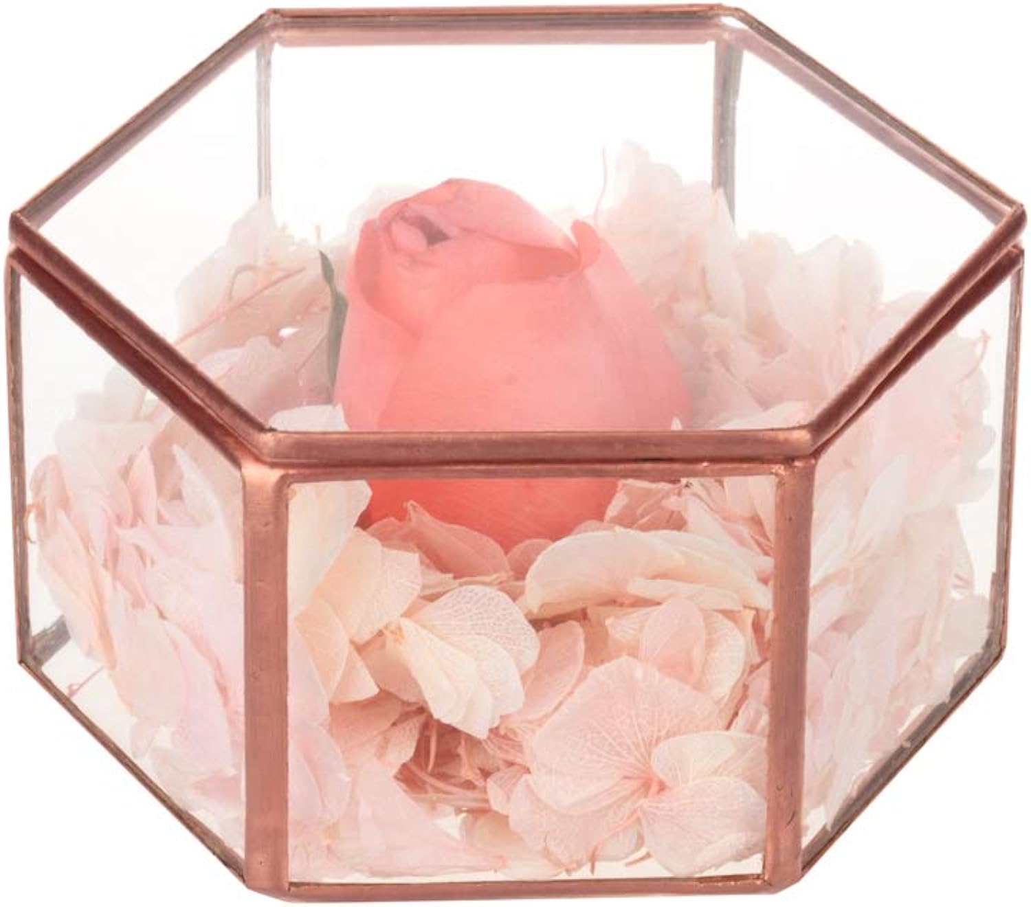 Feyarl Antikschmuck Schmuckkästchen Glasbox handgemacht Messing verzierte Ringe Ohrringe Box Konserviert Blume Glas Box Dekorative Box