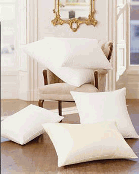 Pacific Coast Touch Of Down Queen Pillow Set 2 Queen Pillows