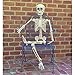 PREXTEX Tall Posable Halloween Skeleton- Full Body Halloween Skeleton with Movable/Posable Joints for Best Halloween Decoration