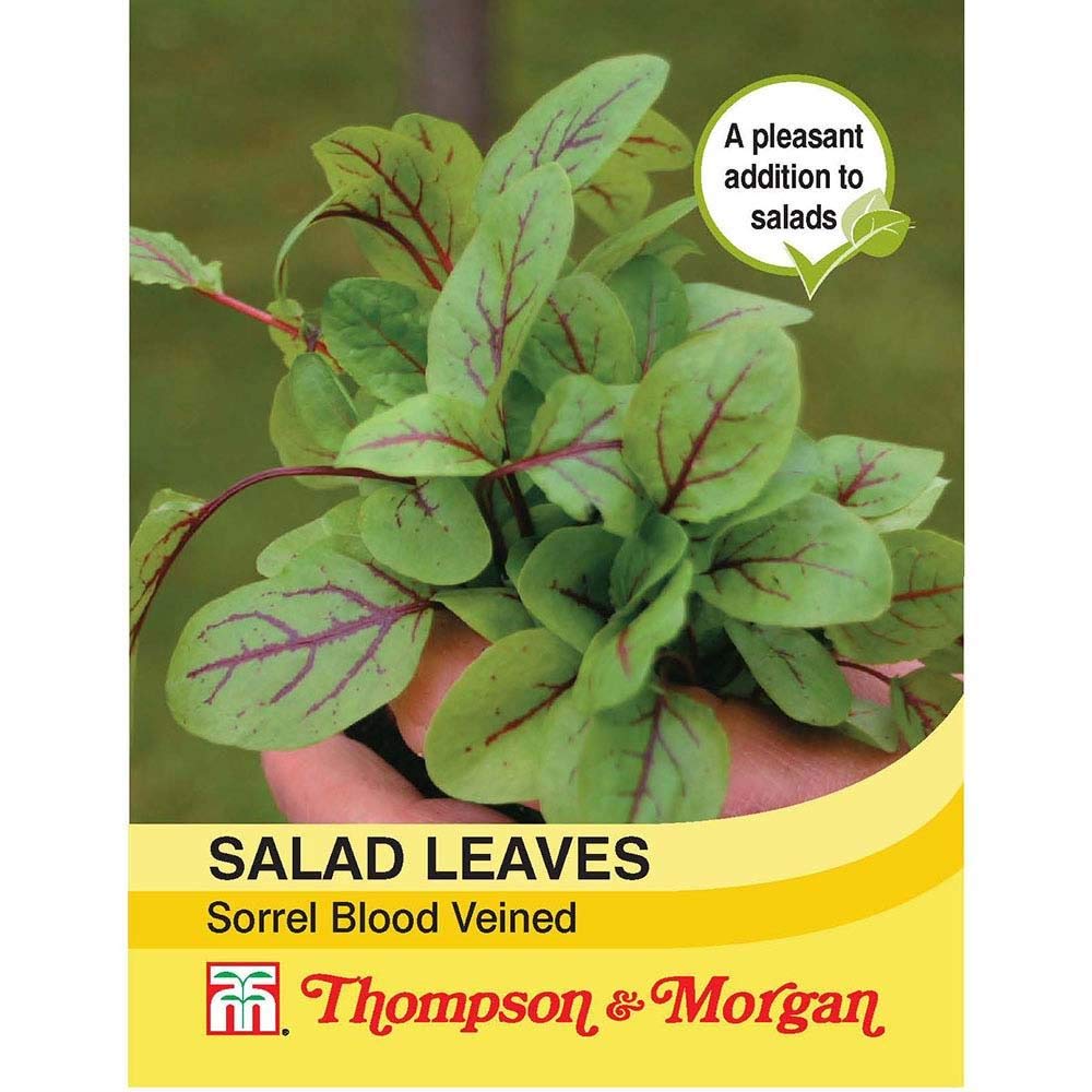Thompson & Morgan - Vegetables - Salad Leaves - Sorrel Blood Veined - 250 Seed