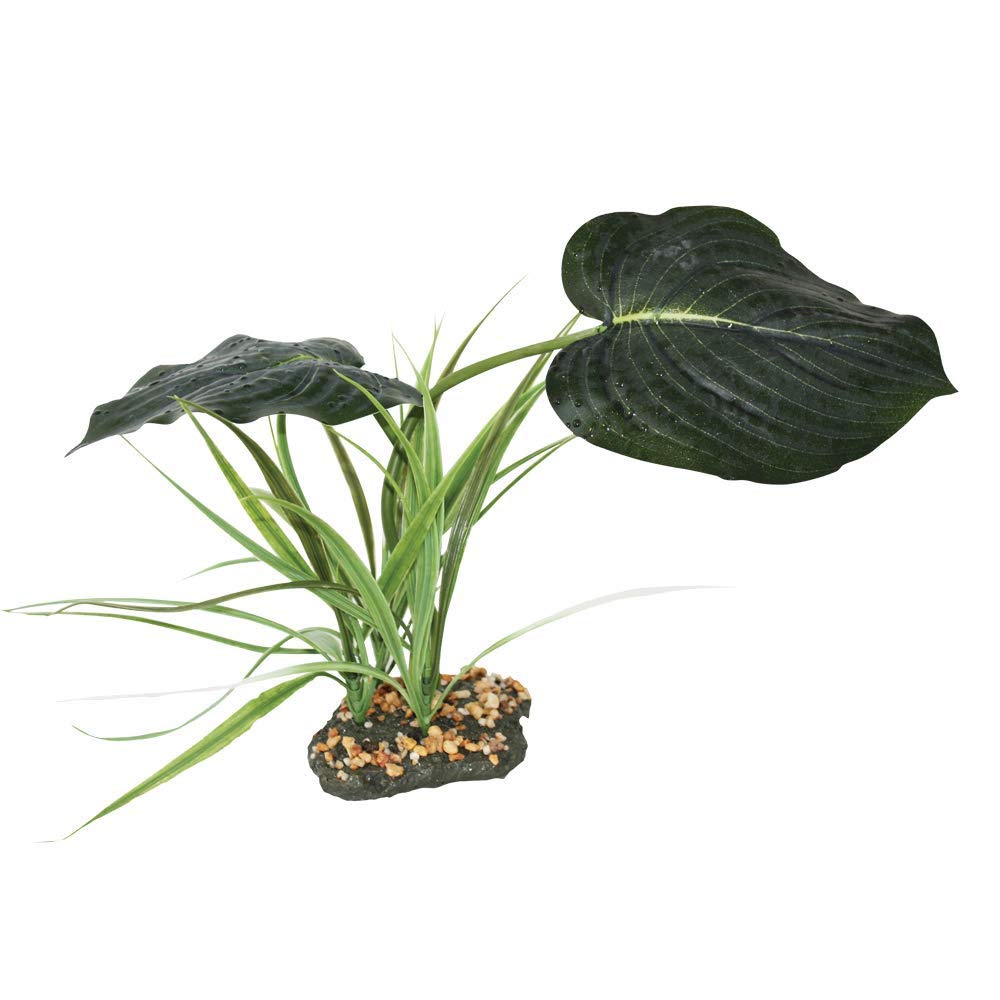 Komodo Woodland Canopy,Green