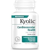 Kyolic Aged Garlic Extract Formula 250, One Per Day, 60 Vegan Caplets | Odorless, Organically Grown, Aged Garlic Extract in a Convenient One Per Day Vegan Caplet for Heart and Circulatory Health