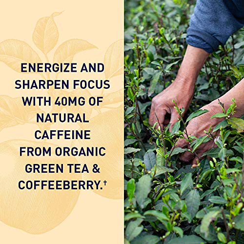 Apple Cider Vinegar Energy Gummies by Garden of Life mykind Organics