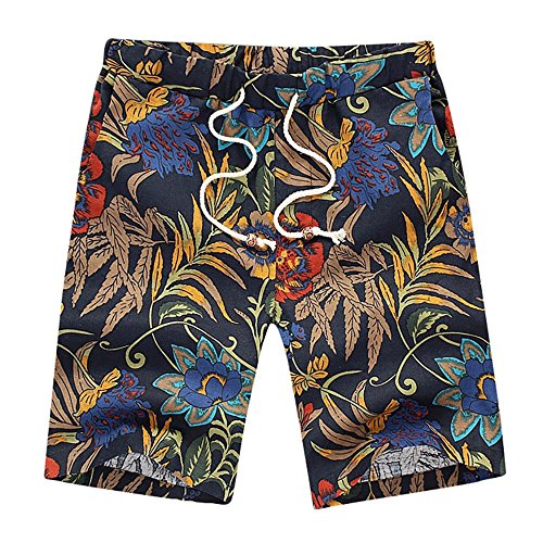 Mlide Mens Vintage Graphic,Casual Beach Work Pants,Summer Swim Trunks Quick Dry Surfing Shorts Pants,Style F(X-Large)