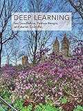 Deep Learning (Adaptive Computation and Machine Learning series) cover