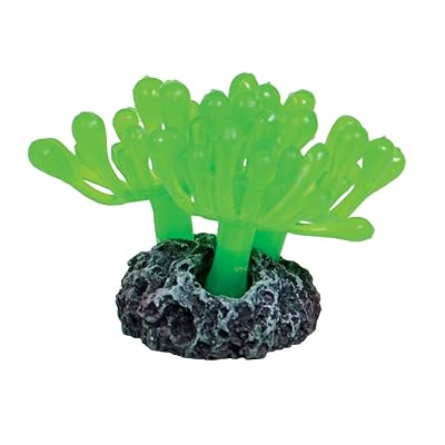 Mini Green Underwater Treasures Bubble Polyp Nigeria Ubuy