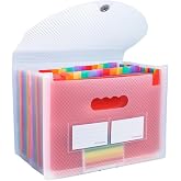 KTENGLEZ Transparent White A4/ Legal Size 13 Pockets Accordion File Organizer, Monthly Bill Receipt Tax Organizer, A4 Paper Document Organizer for Travel School Office Supplies 9.5" x 13"