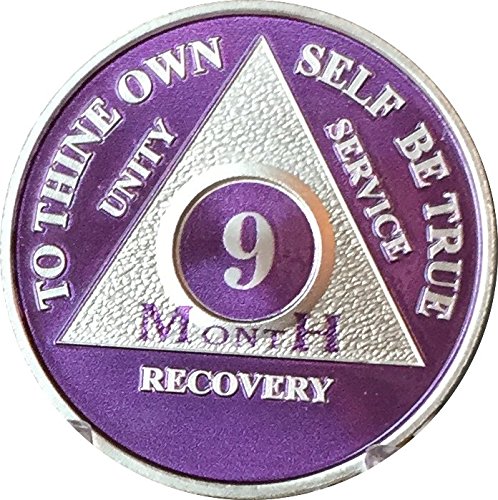 9 Month Purple Silver Plated AA Medallion Chip