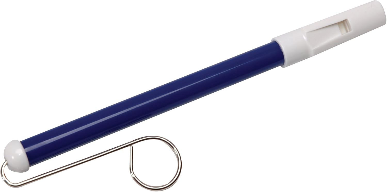 schylling slide whistle