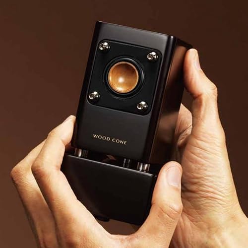 JVC Compact Component System Wood Cone EX-NW1 in Saudi Arabia