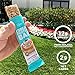 Quest Nutrition Beyond Cereal Protein Bar, Cinnamon Roll Flavor, 12g Protein, 2g Net Carbs, 110 Cals, 1.34oz Bar, 15 Count, Breakfast Bars, Low Carbs Bars, Gluten Free, Soy Free