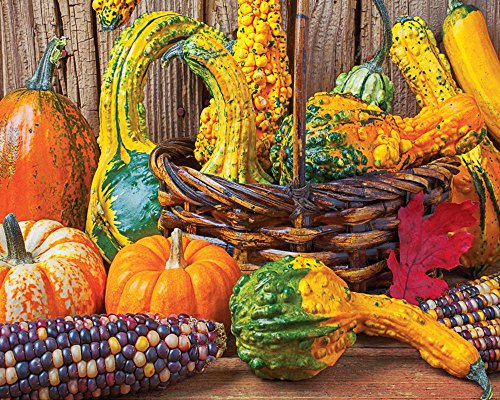 Springbok Puzzles Harvest Colors Jigsaw Puzzle (1000 Piece)