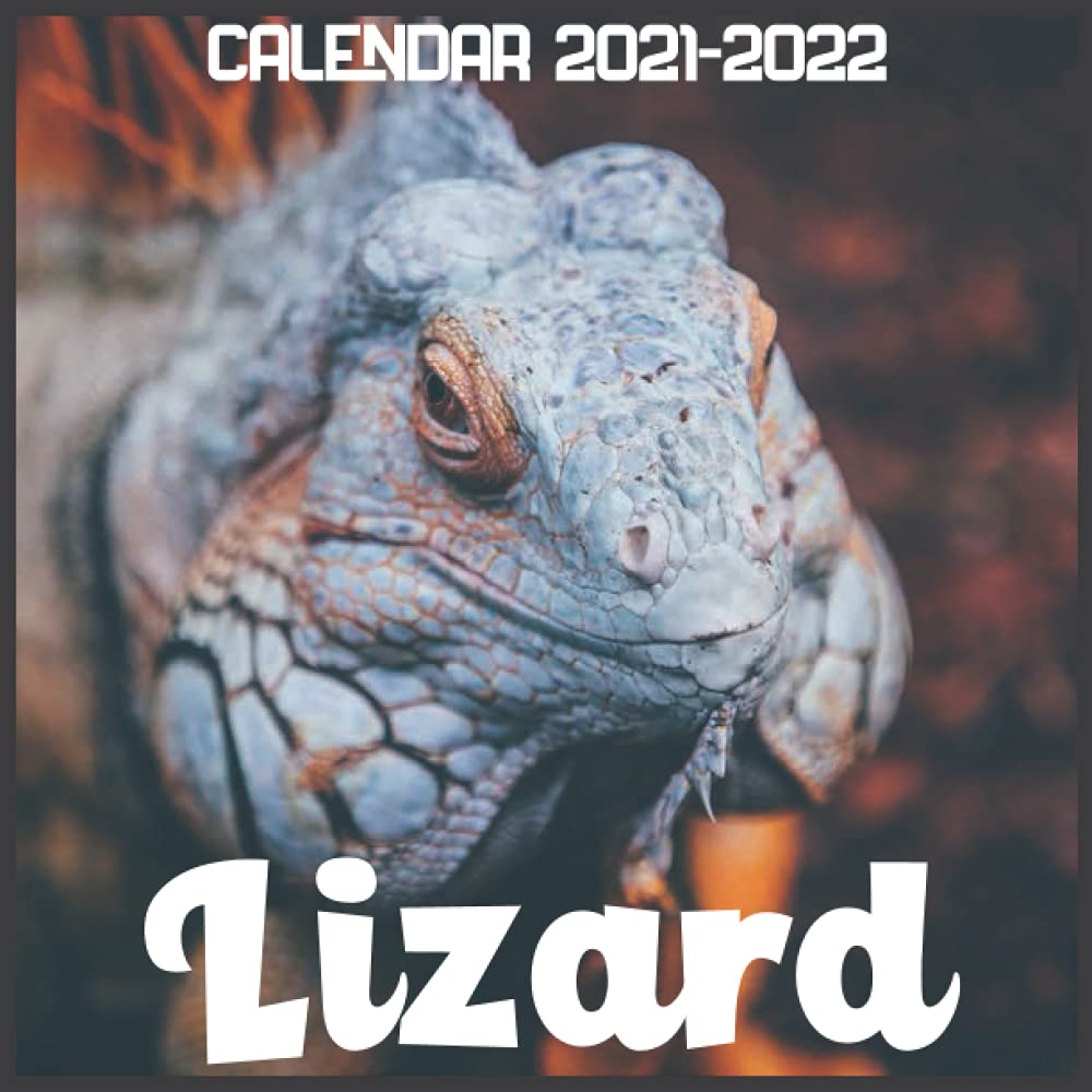 Lizard Calendar 2021-2022: April 2021 Through December 2022 Square Photo Book Monthly Planner Lizard, Small Calendar: Budiren, Coltrisav: 9798503316988: Amazon.com: Books
