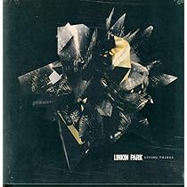 METEORA (20TH ANNIVERSARY EDITION/4LP BOX SET) | Amazon.com.br