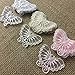 Lace Applique Butterfly Embroidered Sheer Organza, 1.5