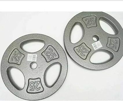weight plates 25 lb